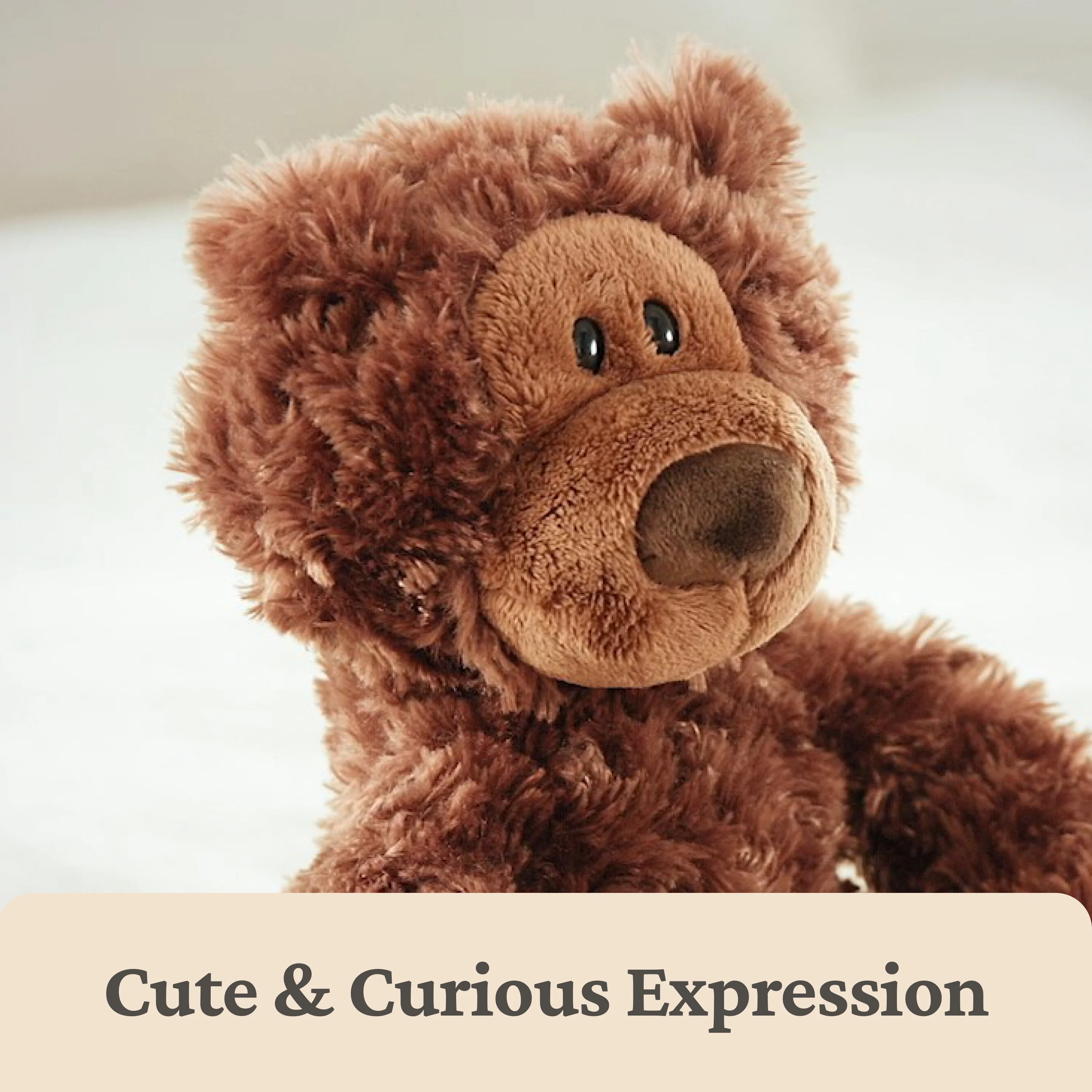 GUND Forever Friends Promise: Philbin Bear - Image 3